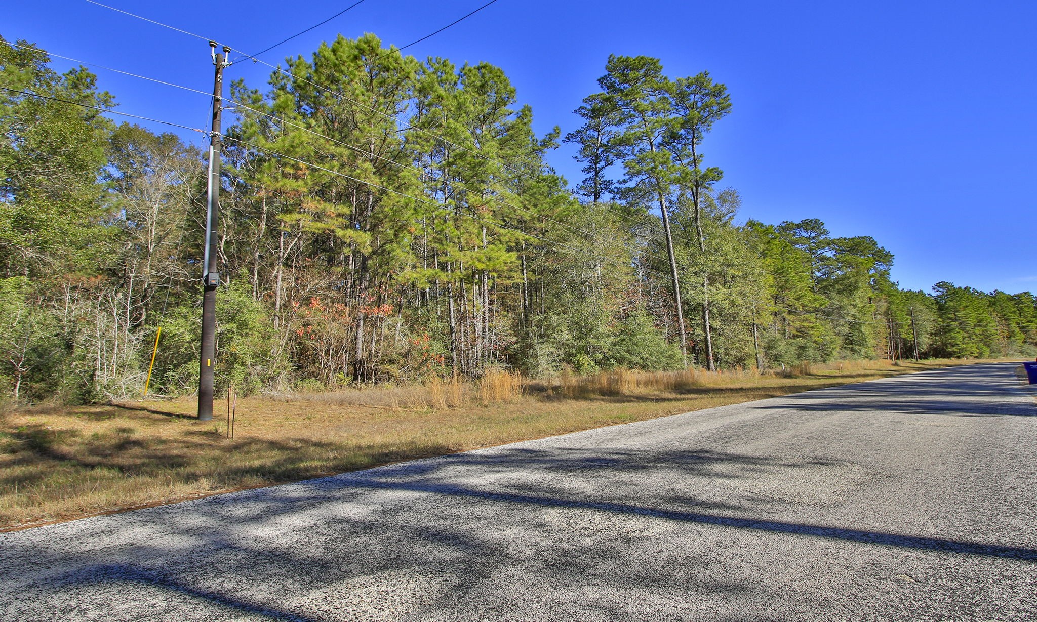 Lot 189 Branding Iron Road Huntsville, TX 77340 - Photo 6 of 48 a view of a yard with large trees