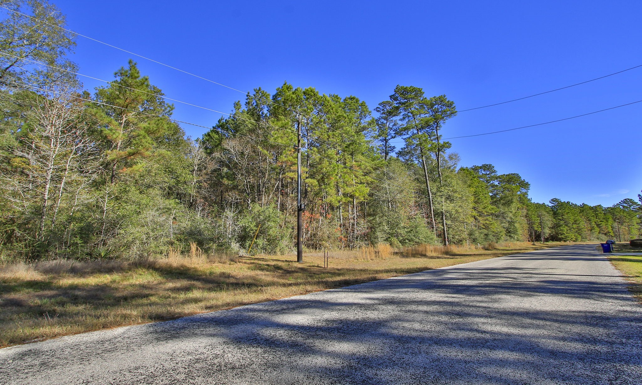 Lot 189 Branding Iron Road Huntsville, TX 77340 - Photo 8 of 48 a view of a yard with a tree