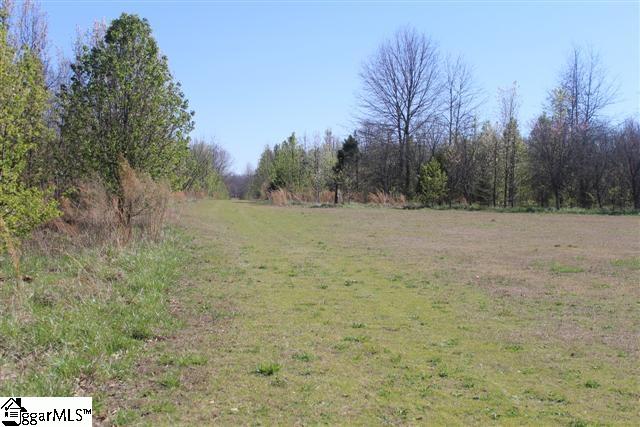 9850 New Cut Road Campobello, SC 29322 - Photo 4 of 11