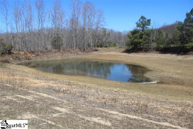 9850 New Cut Road Campobello, SC 29322 - Photo 8 of 11