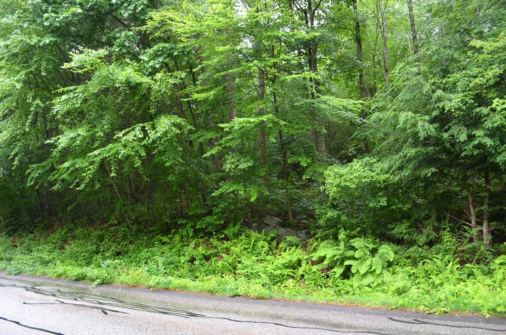 Lot 3 Monson Turnpike Road Ware, MA 01082 - Photo 2 of 3