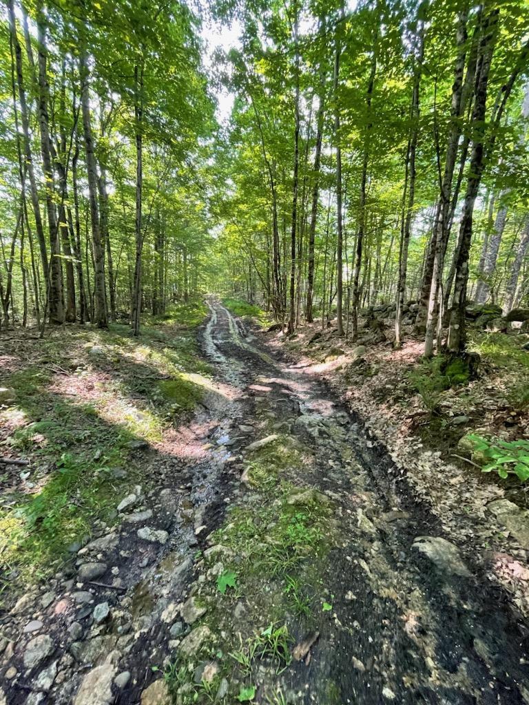 149 Inman Road Paris, ME 04281 - Photo 6 of 17 Inman13