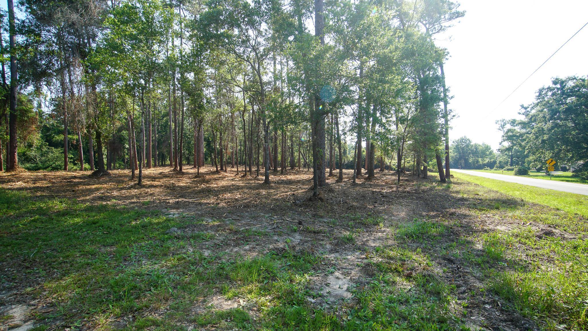0 Antietam Road Lillian, AL 36549 - Photo 22 of 32