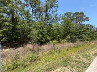 a view of a yard with plants and tree