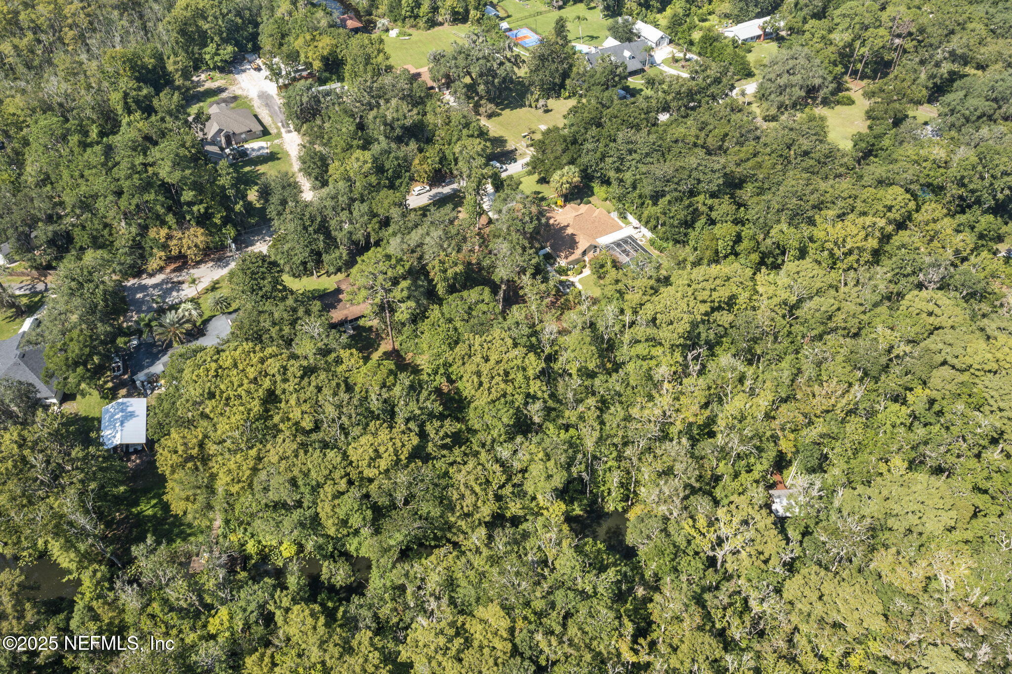 0 Hillwood Road Jacksonville, FL 32223 - Photo 15 of 35 a view of a tree with a tree