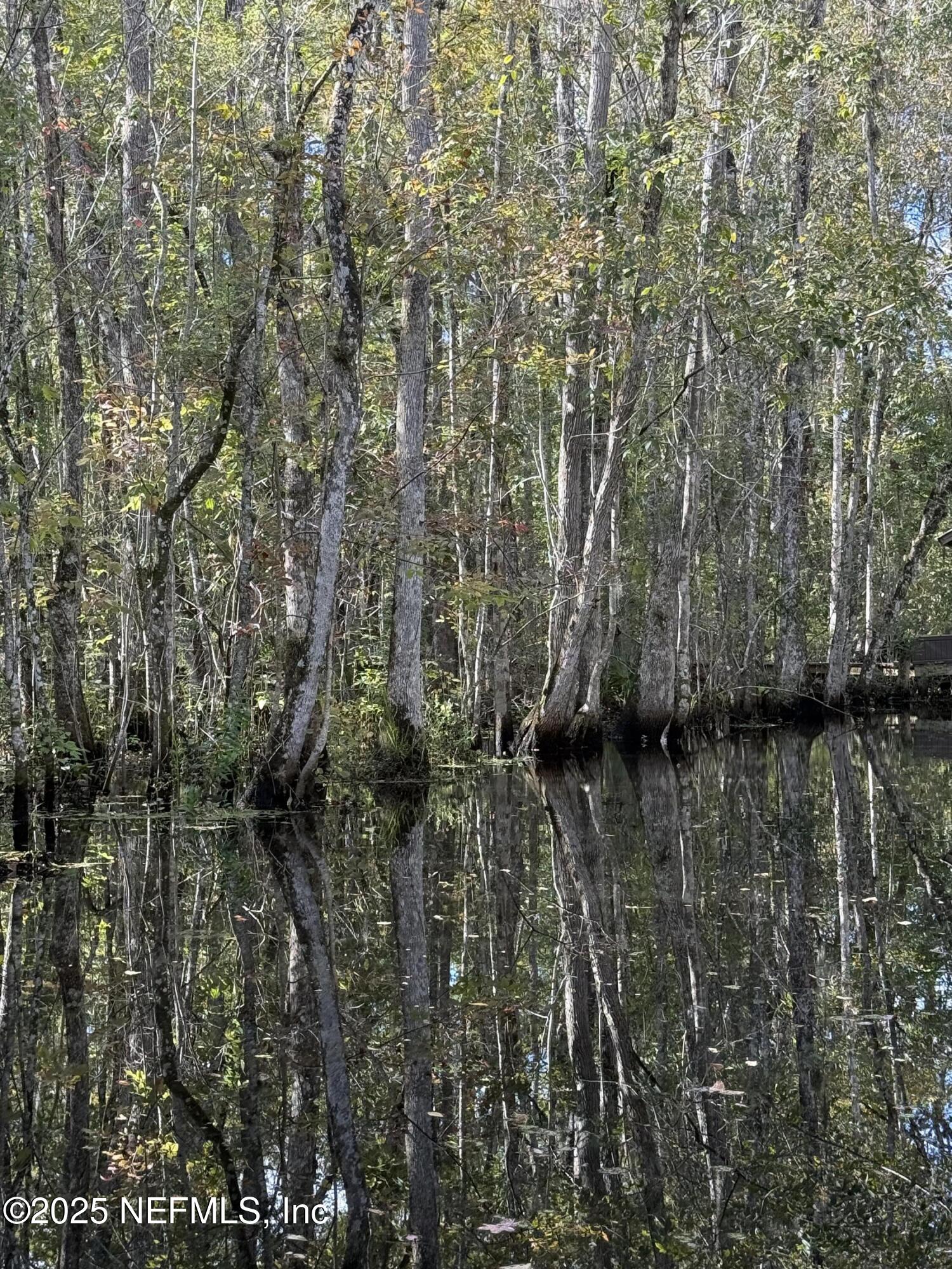 0 Hillwood Road Jacksonville, FL 32223 - Photo 19 of 35 October 2025-Waterfront Canal