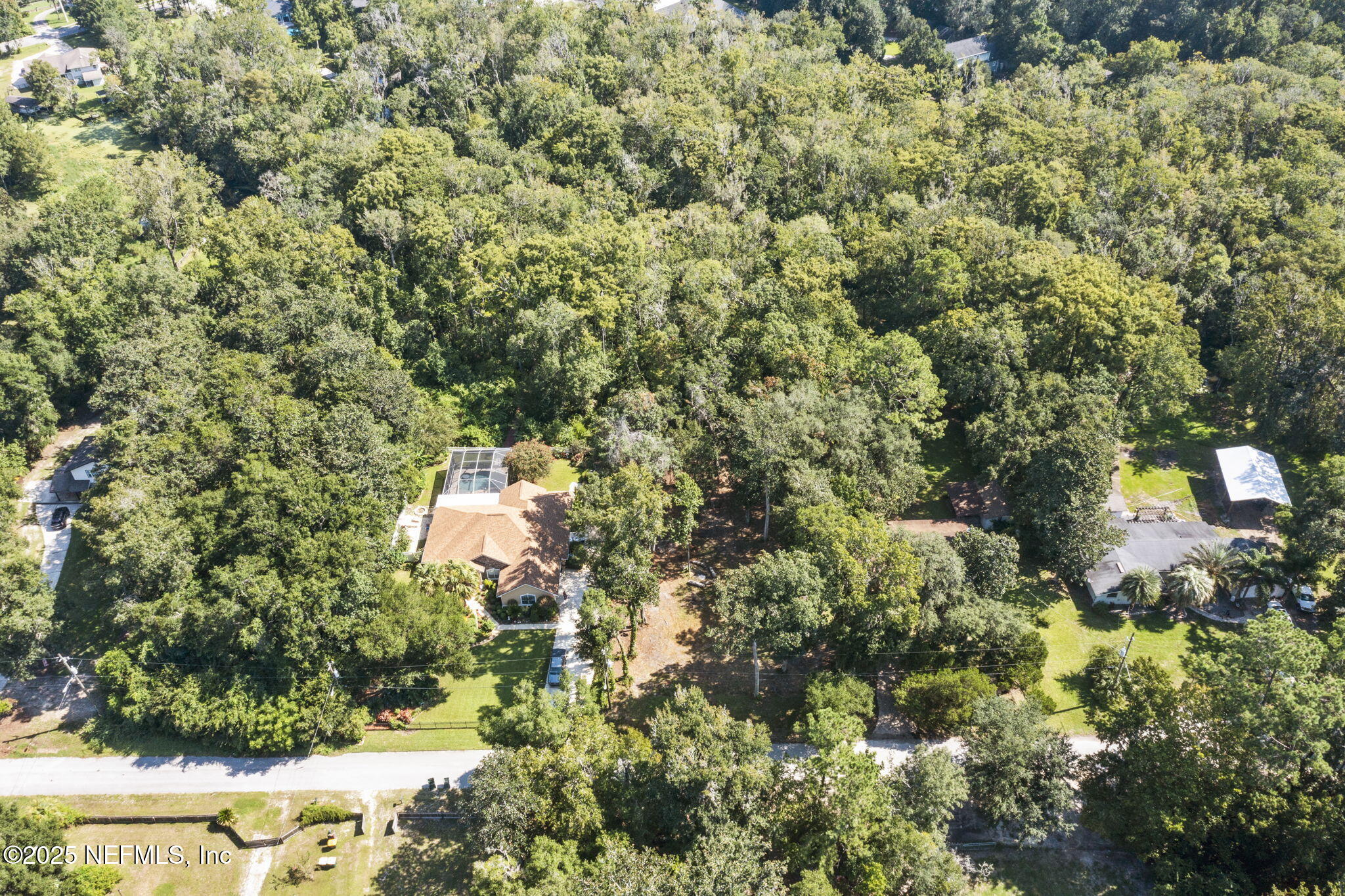 0 Hillwood Road Jacksonville, FL 32223 - Photo 4 of 35 a picture of tree