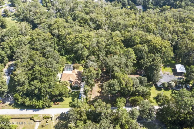 a view of a backyard with large trees