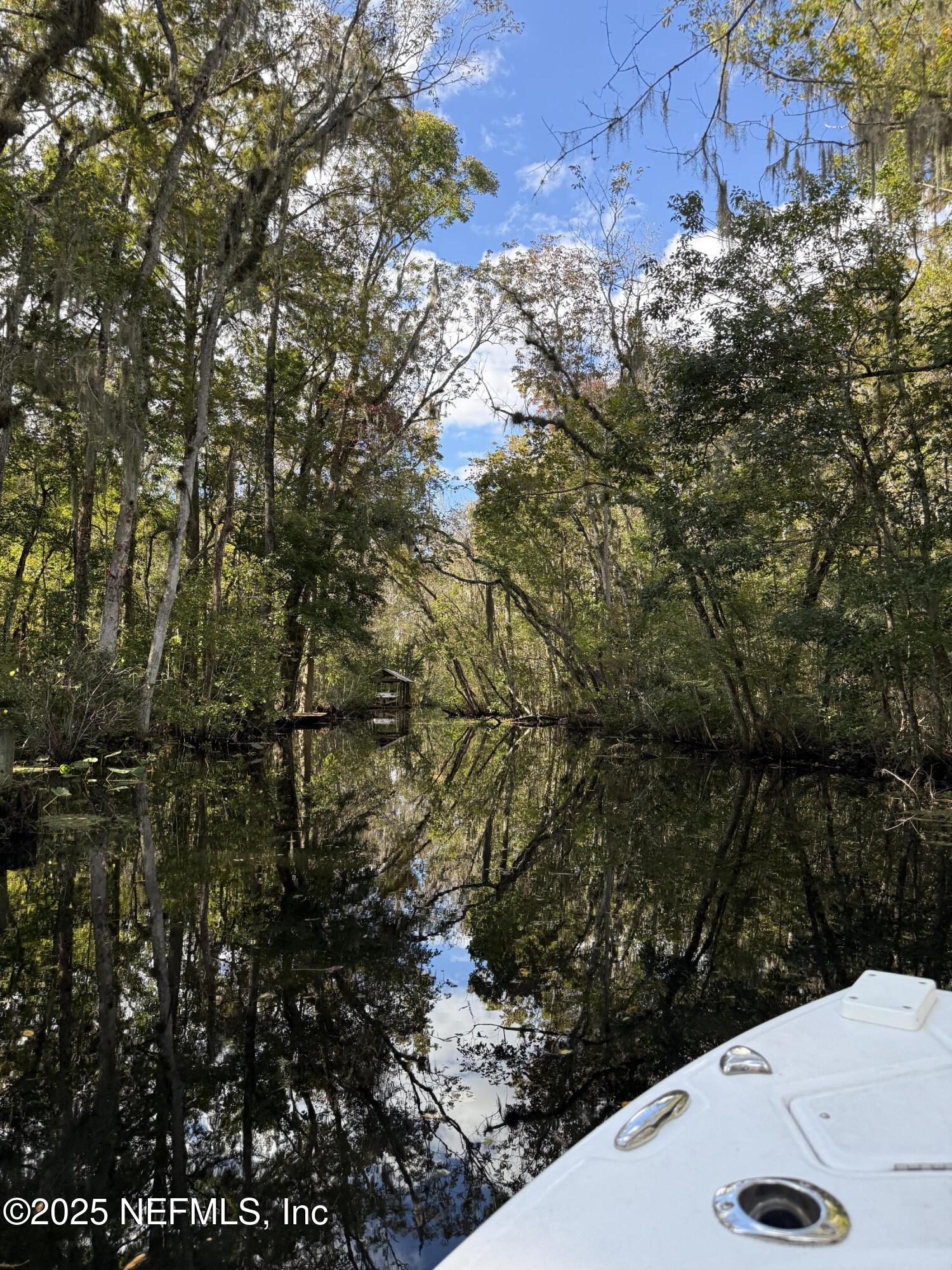 0 Hillwood Road Jacksonville, FL 32223 - Photo 6 of 35 a view of a tree