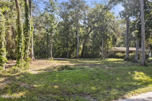 a view of a field with trees in the background