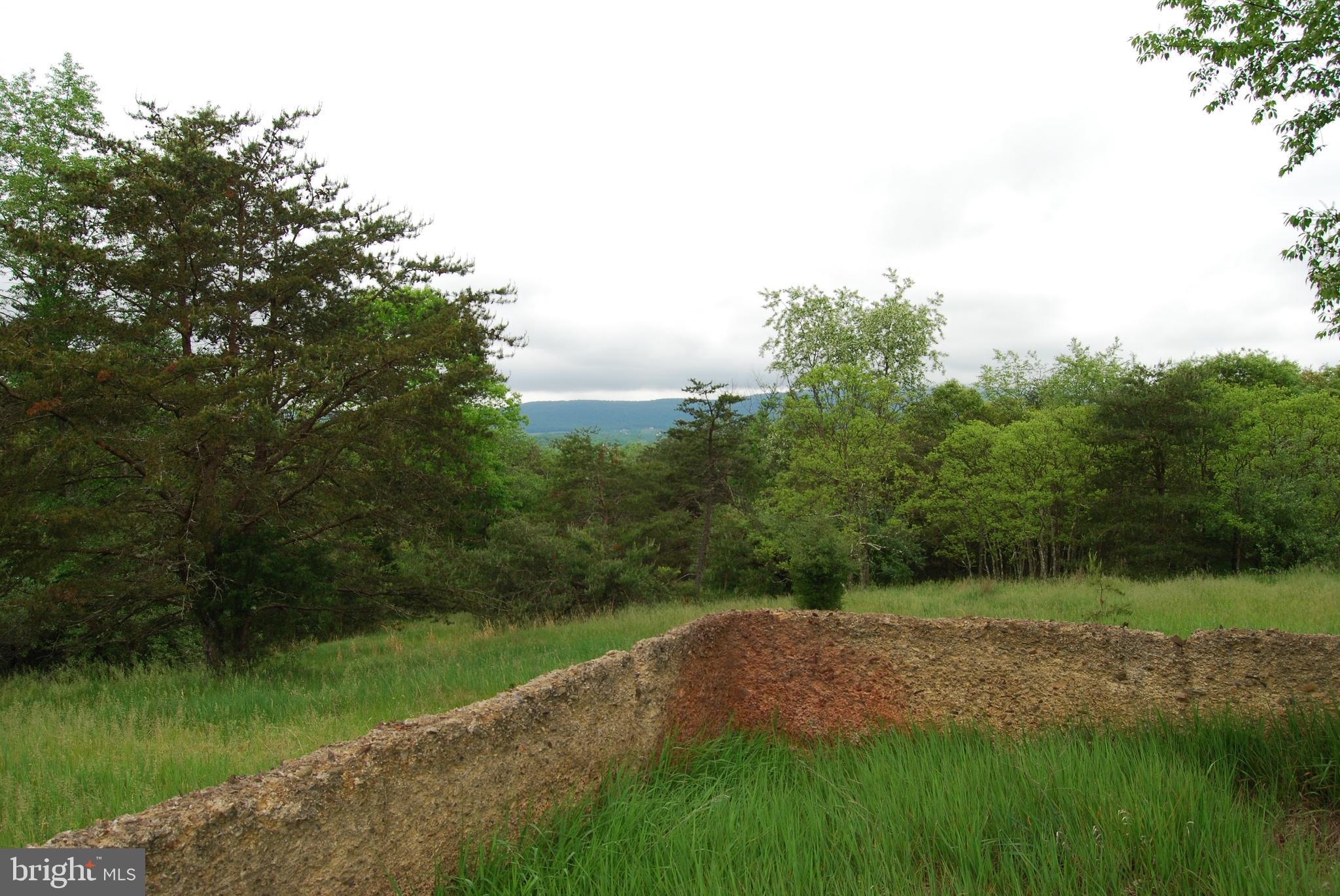 Lot 3 Jenkins Road Gerrardstown, WV 25420 - Photo 1 of 39 Gallery Image 1