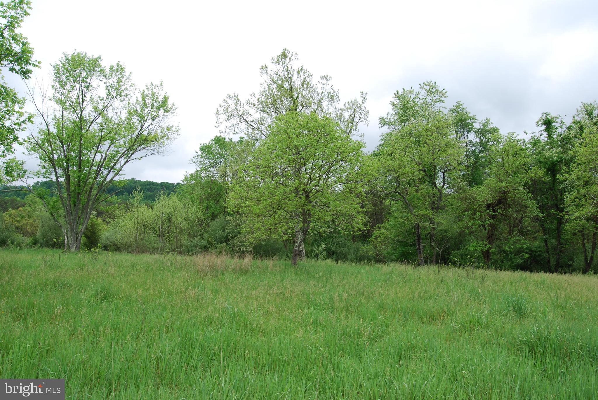 Lot 3 Jenkins Road Gerrardstown, WV 25420 - Photo 11 of 39 Gallery Image 11