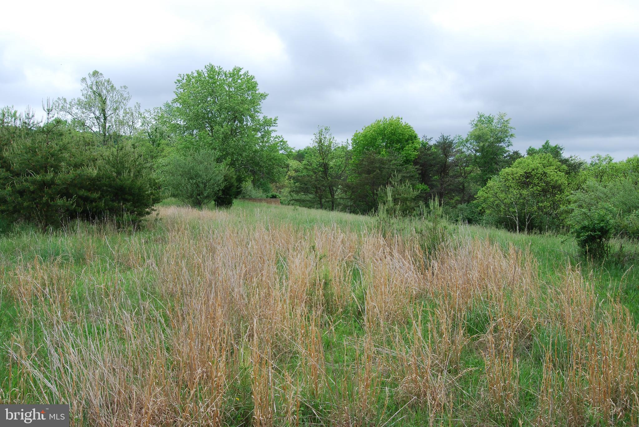 Lot 3 Jenkins Road Gerrardstown, WV 25420 - Photo 12 of 39 Gallery Image 12