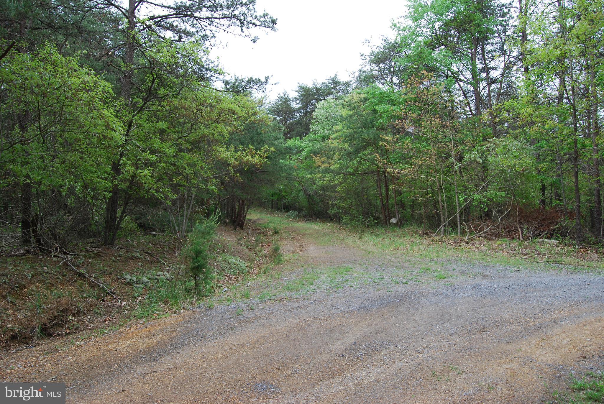 Lot 3 Jenkins Road Gerrardstown, WV 25420 - Photo 13 of 39 Gallery Image 13