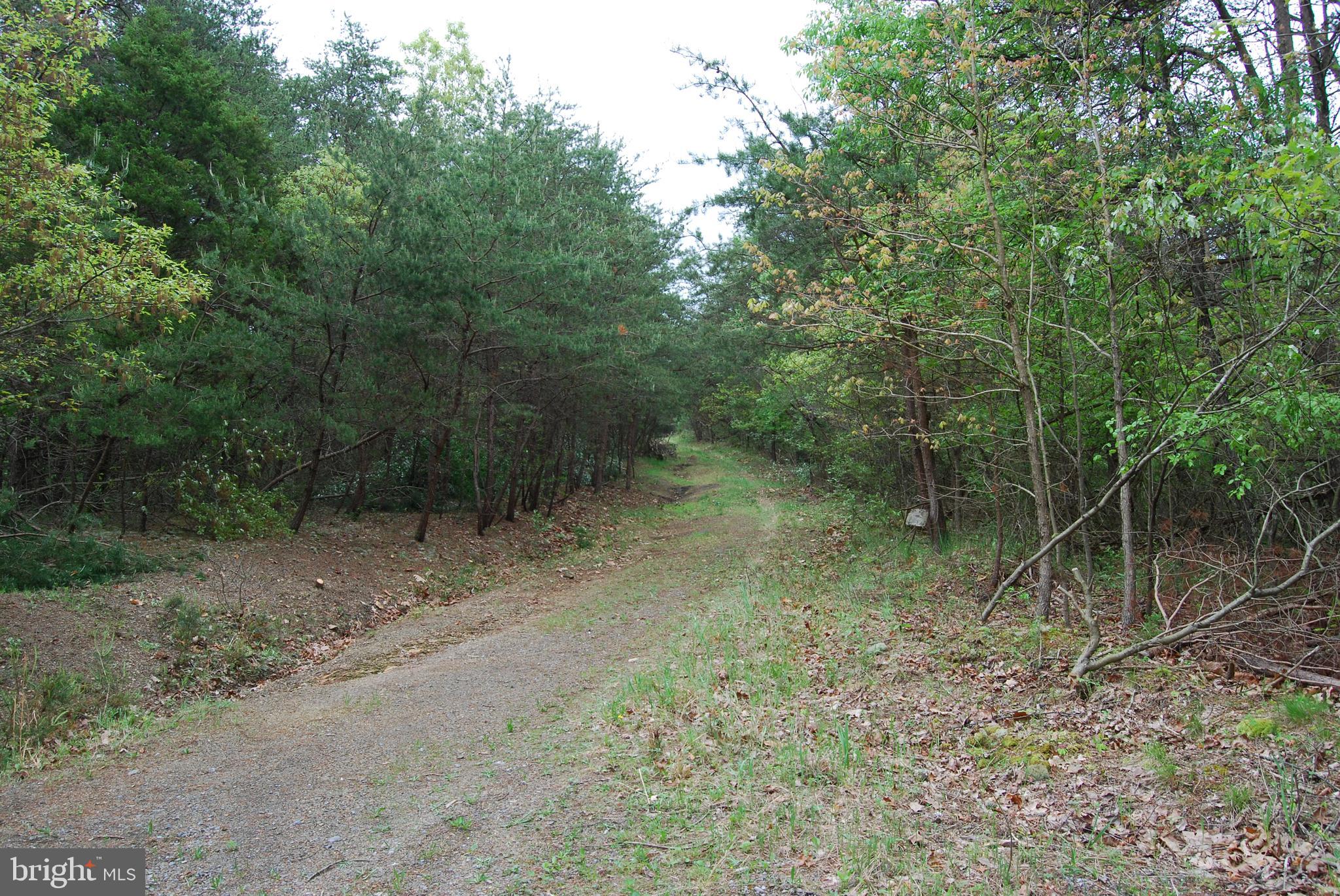 Lot 3 Jenkins Road Gerrardstown, WV 25420 - Photo 14 of 39 Gallery Image 14