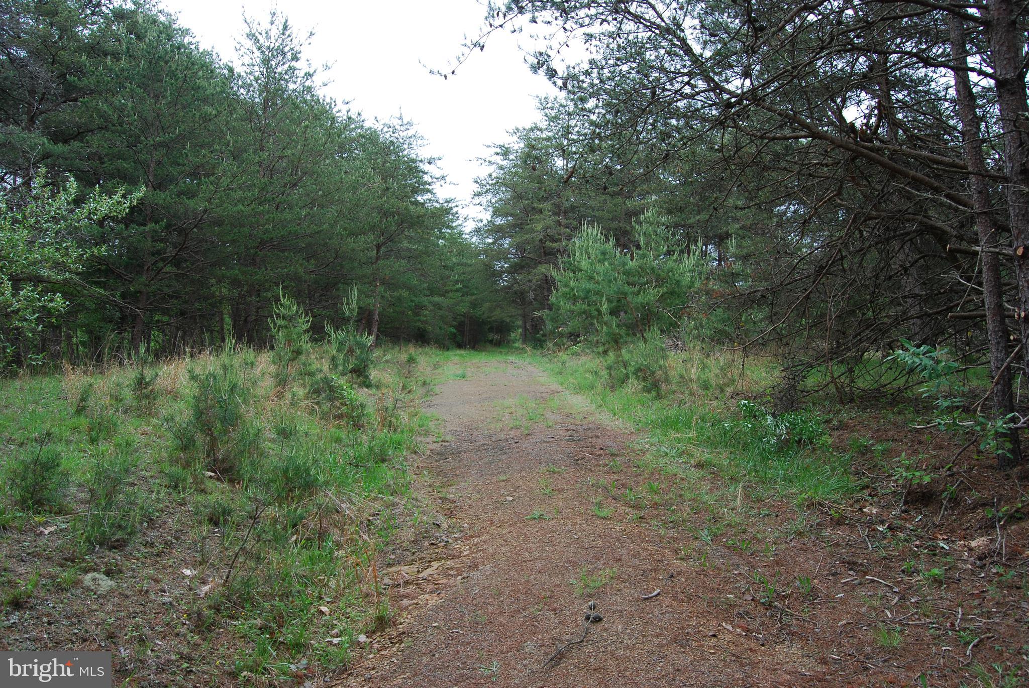 Lot 3 Jenkins Road Gerrardstown, WV 25420 - Photo 15 of 39 Gallery Image 15