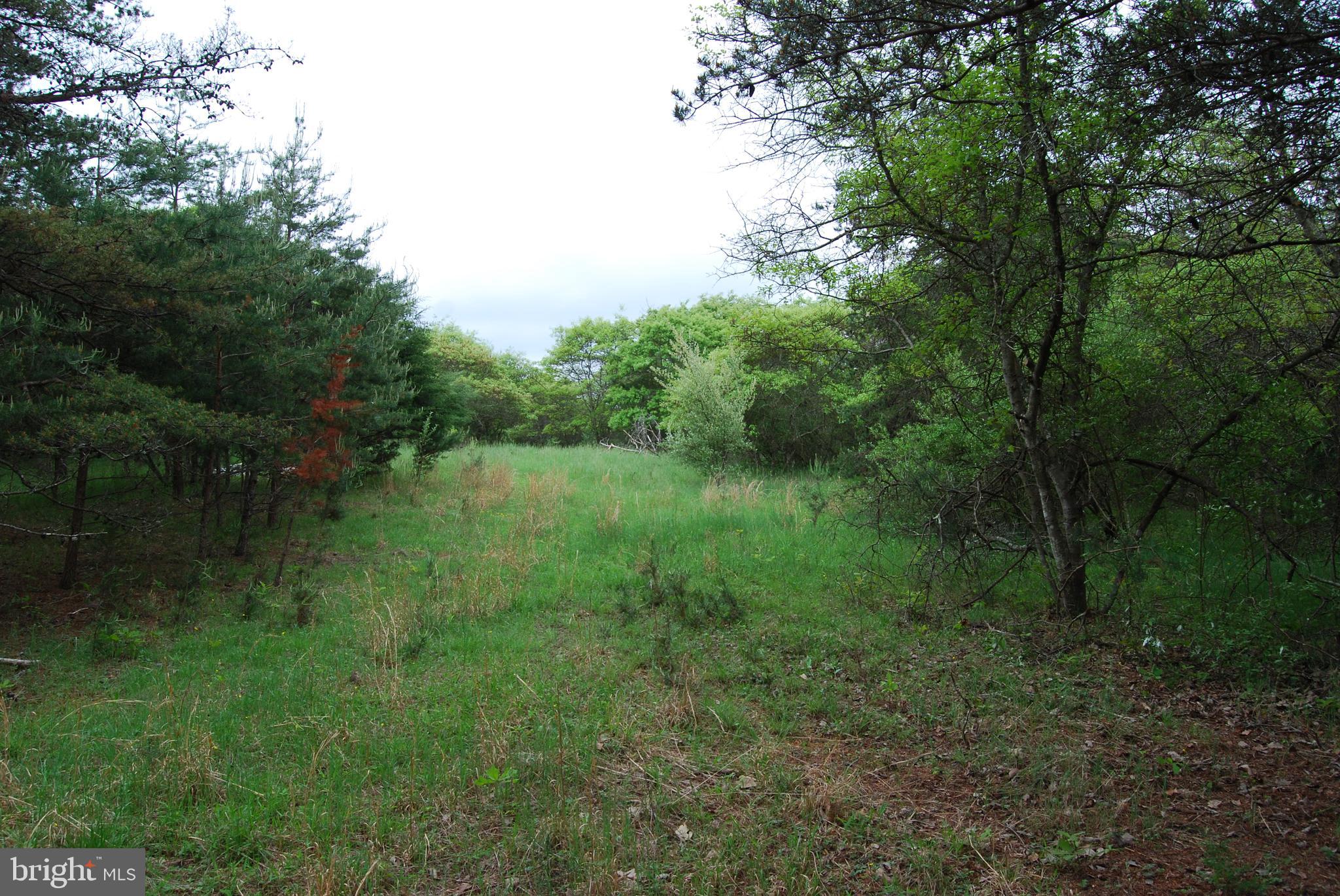 Lot 3 Jenkins Road Gerrardstown, WV 25420 - Photo 16 of 39 Gallery Image 16