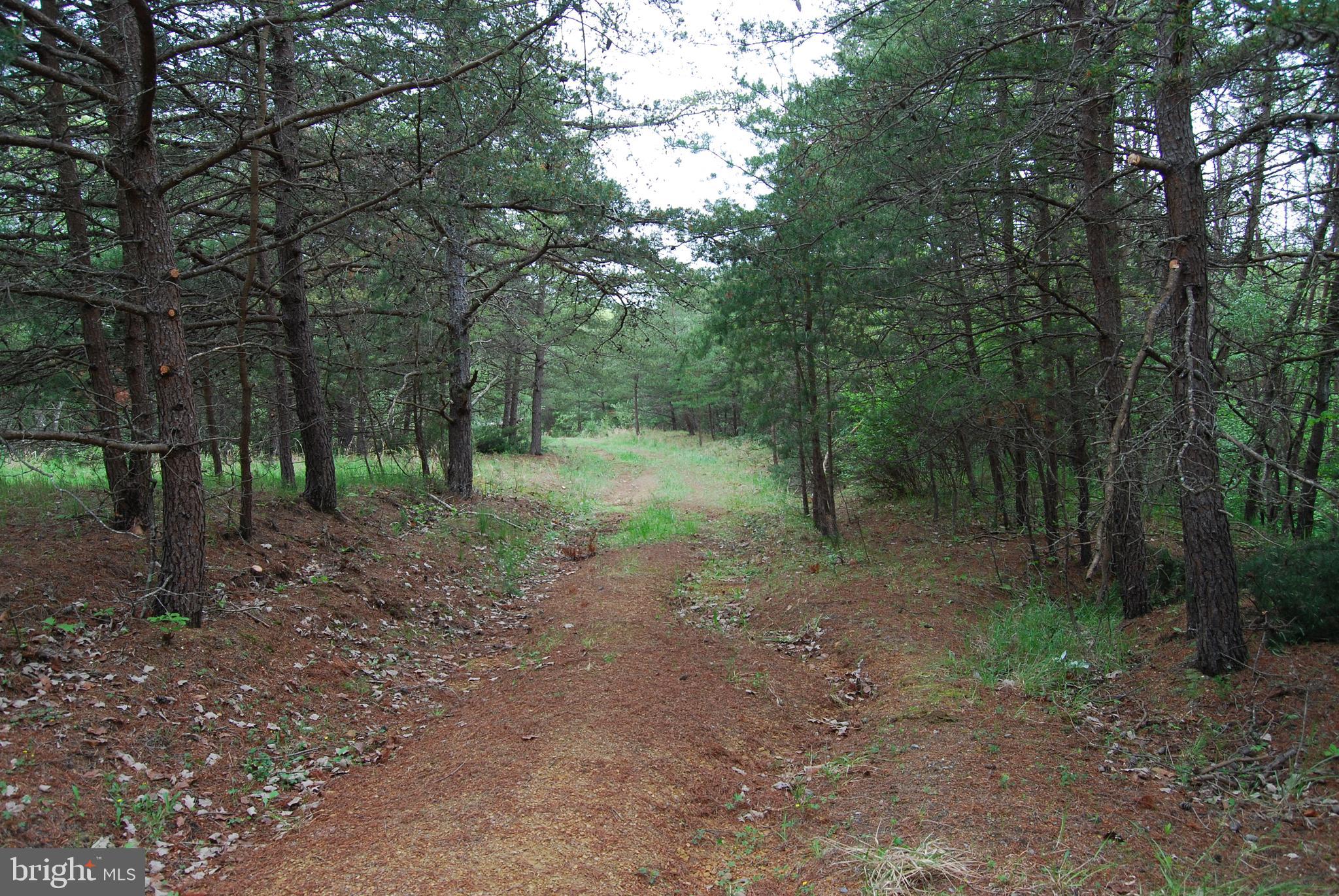 Lot 3 Jenkins Road Gerrardstown, WV 25420 - Photo 17 of 39 Gallery Image 17