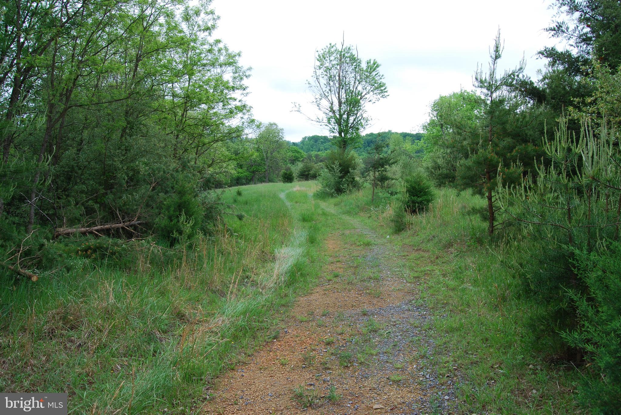 Lot 3 Jenkins Road Gerrardstown, WV 25420 - Photo 18 of 39 Gallery Image 18