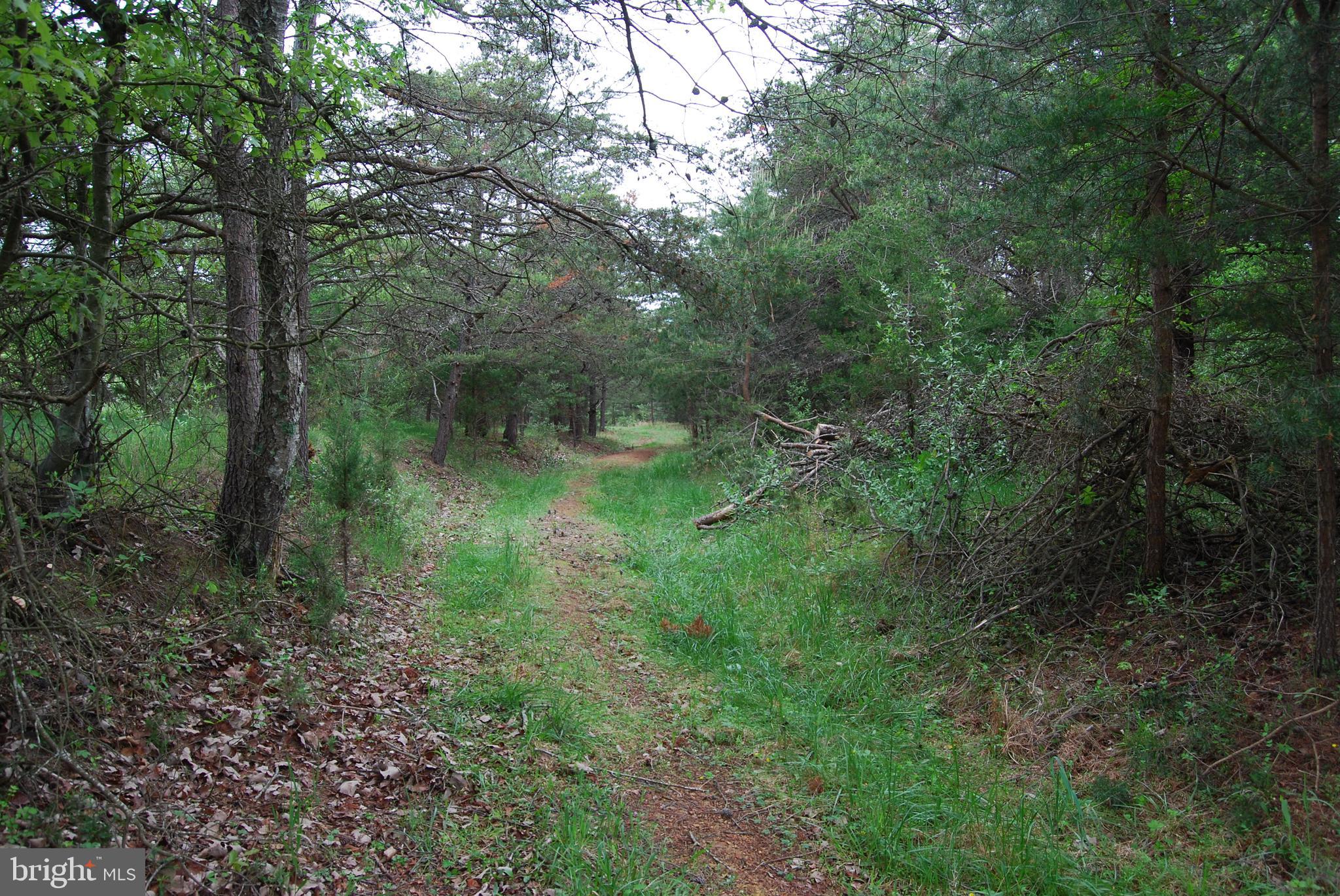 Lot 3 Jenkins Road Gerrardstown, WV 25420 - Photo 19 of 39 Gallery Image 19