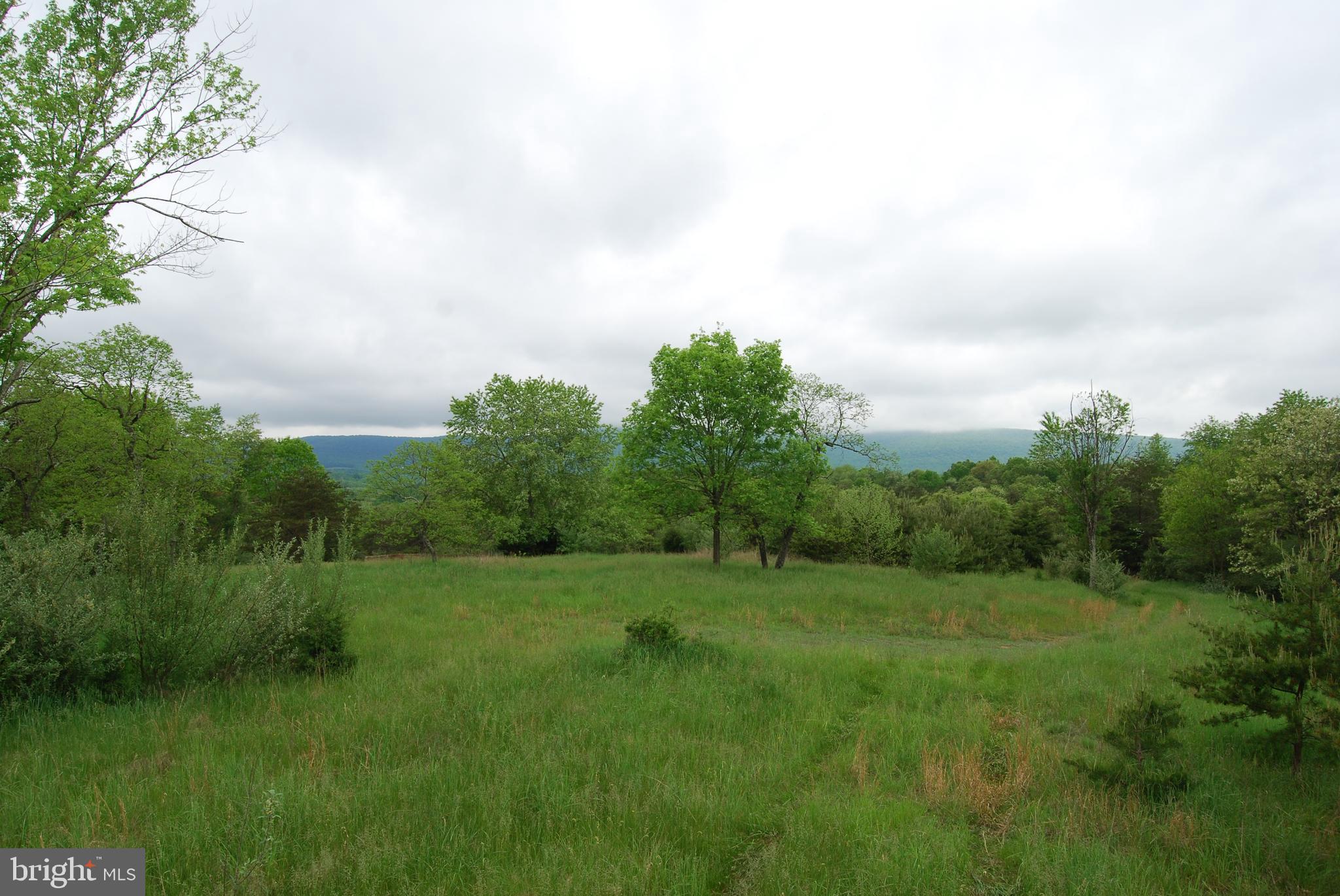 Lot 3 Jenkins Road Gerrardstown, WV 25420 - Photo 20 of 39 Gallery Image 20
