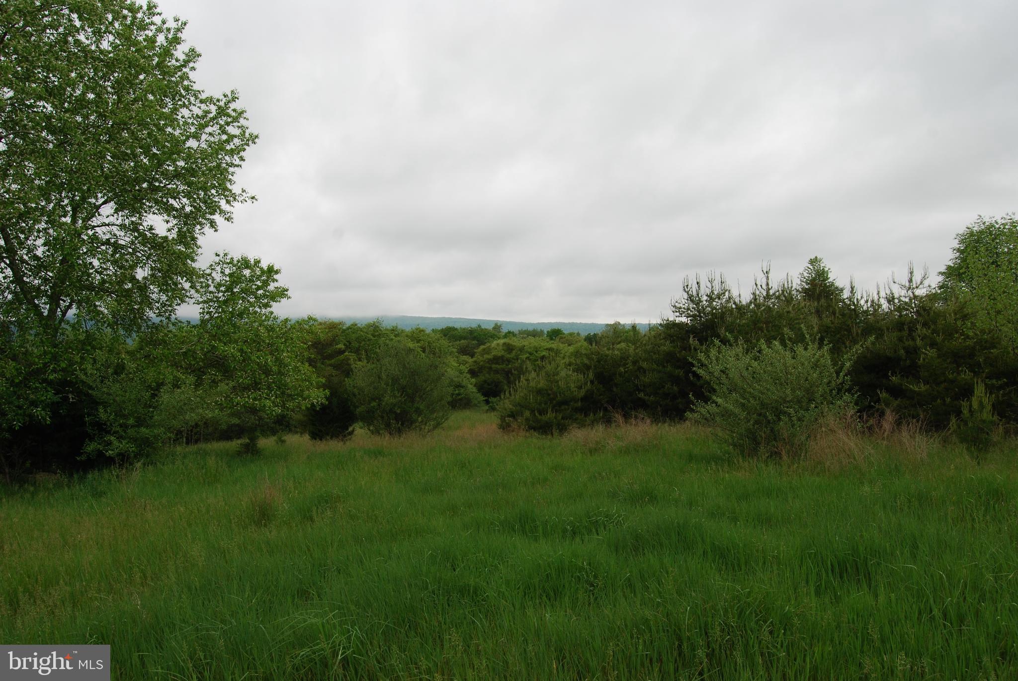 Lot 3 Jenkins Road Gerrardstown, WV 25420 - Photo 22 of 39 Gallery Image 22