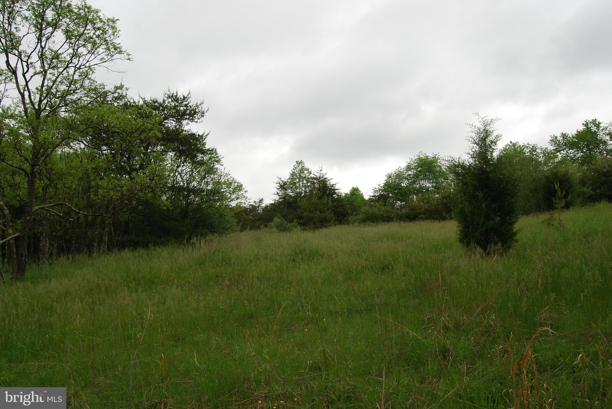 Lot 3 Jenkins Road Gerrardstown, WV 25420 - Photo 24 of 39 Gallery Image 24