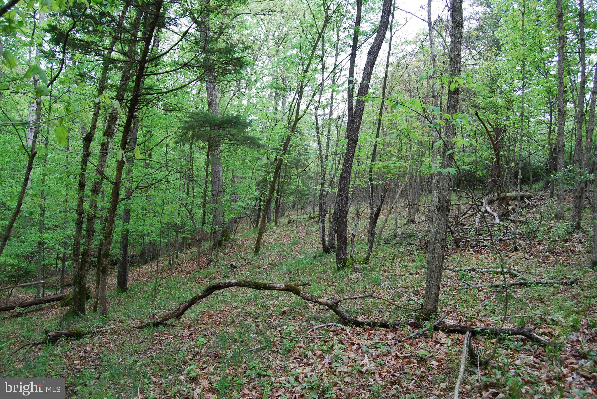 Lot 3 Jenkins Road Gerrardstown, WV 25420 - Photo 26 of 39 Gallery Image 26