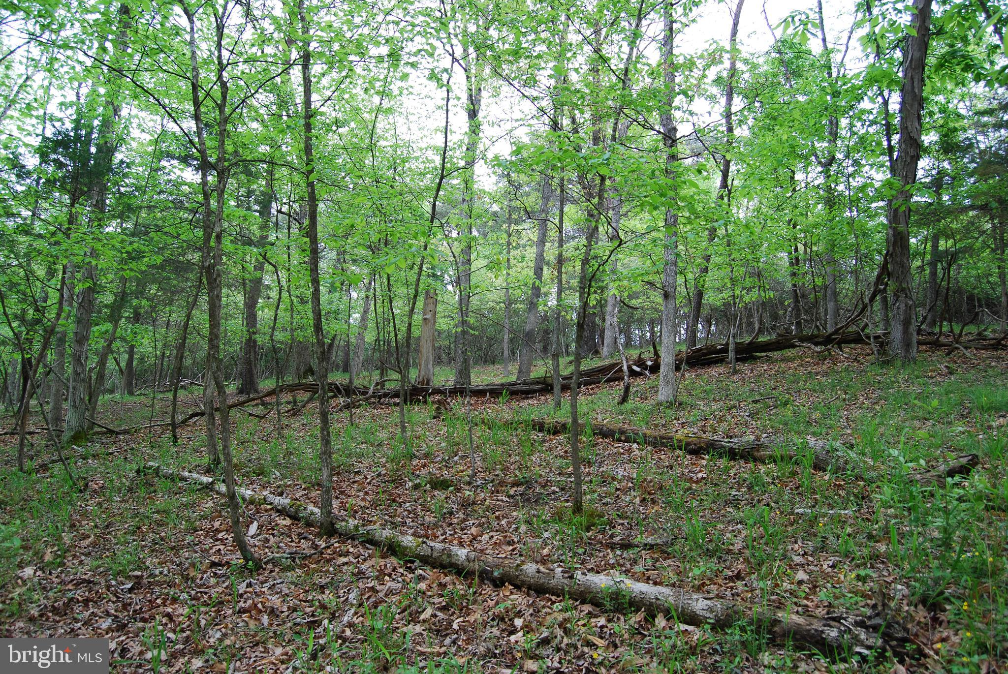 Lot 3 Jenkins Road Gerrardstown, WV 25420 - Photo 27 of 39 Gallery Image 27
