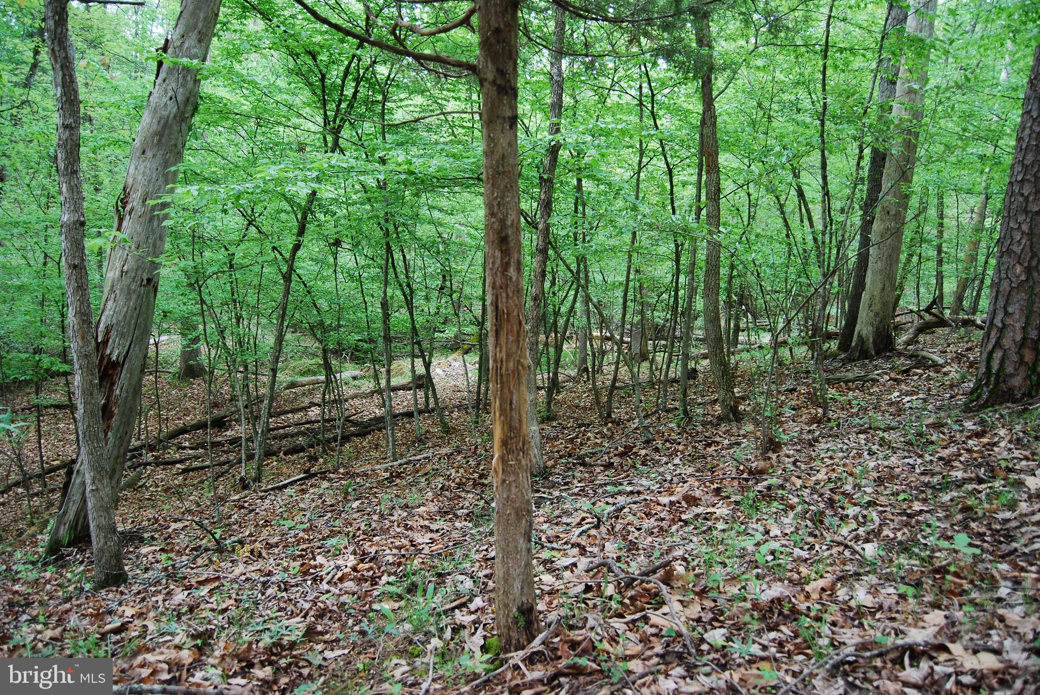 Lot 3 Jenkins Road Gerrardstown, WV 25420 - Photo 29 of 39 Gallery Image 29