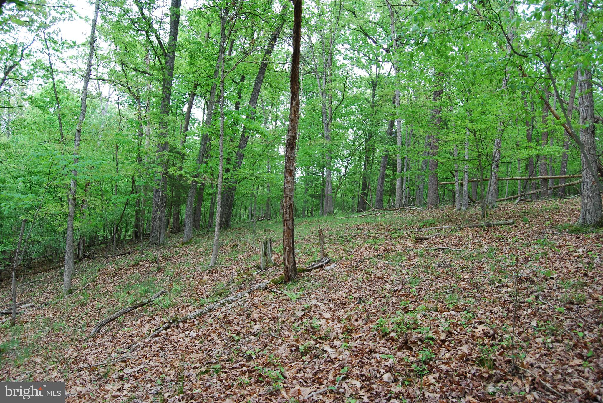 Lot 3 Jenkins Road Gerrardstown, WV 25420 - Photo 30 of 39 Gallery Image 30