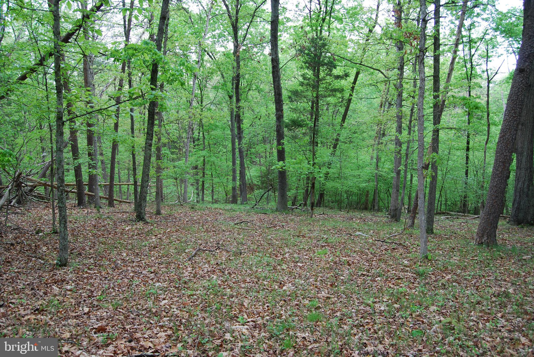 Lot 3 Jenkins Road Gerrardstown, WV 25420 - Photo 31 of 39 Gallery Image 31
