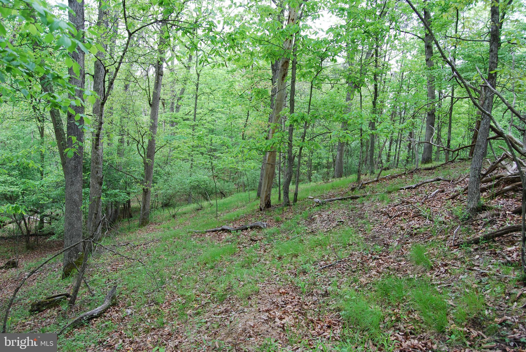 Lot 3 Jenkins Road Gerrardstown, WV 25420 - Photo 37 of 39 Gallery Image 37