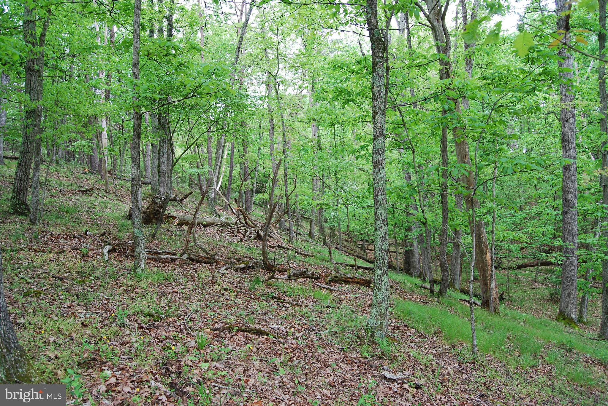 Lot 3 Jenkins Road Gerrardstown, WV 25420 - Photo 38 of 39 Gallery Image 38