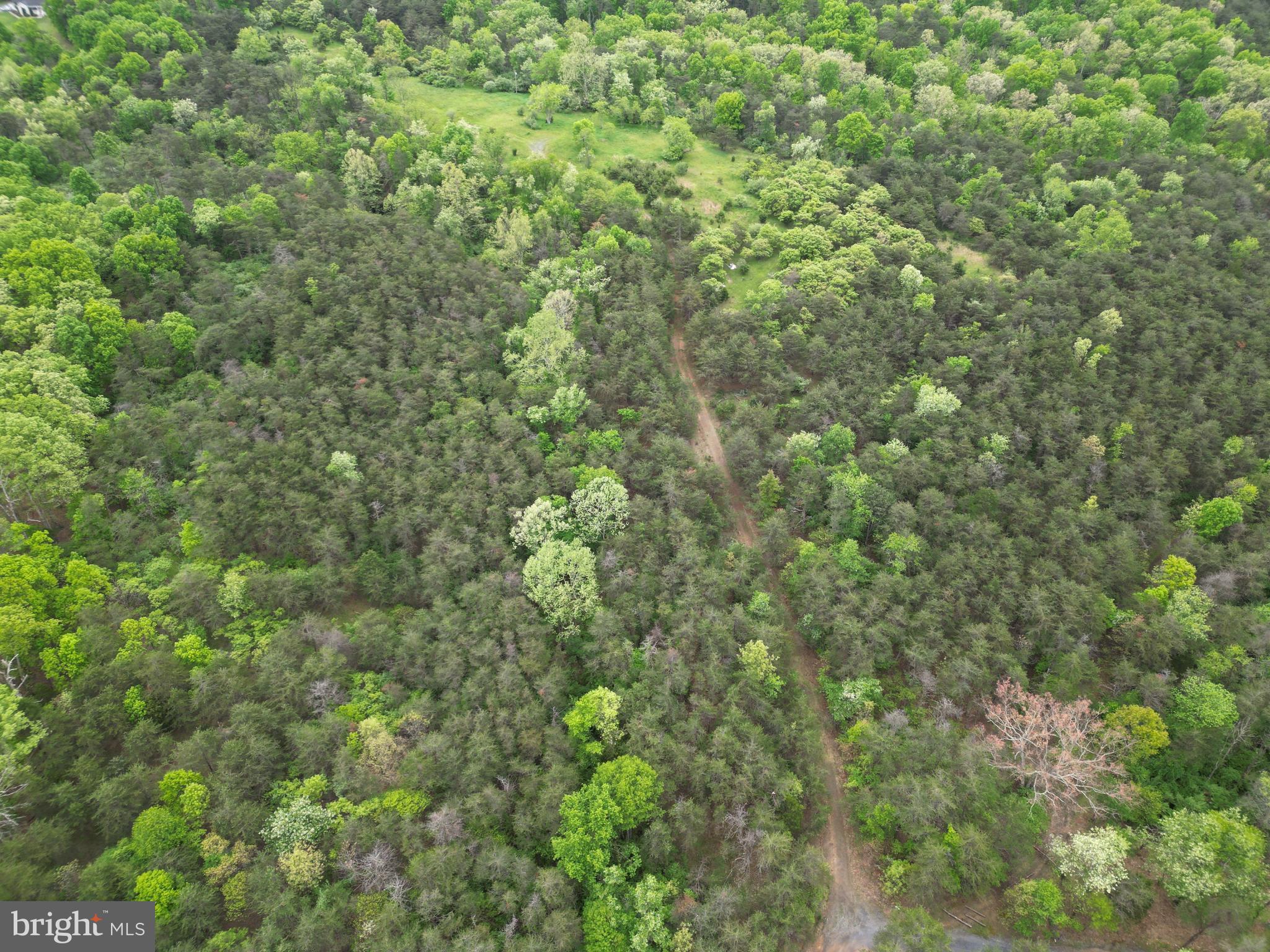 Lot 3 Jenkins Road Gerrardstown, WV 25420 - Photo 9 of 39 Gallery Image 9