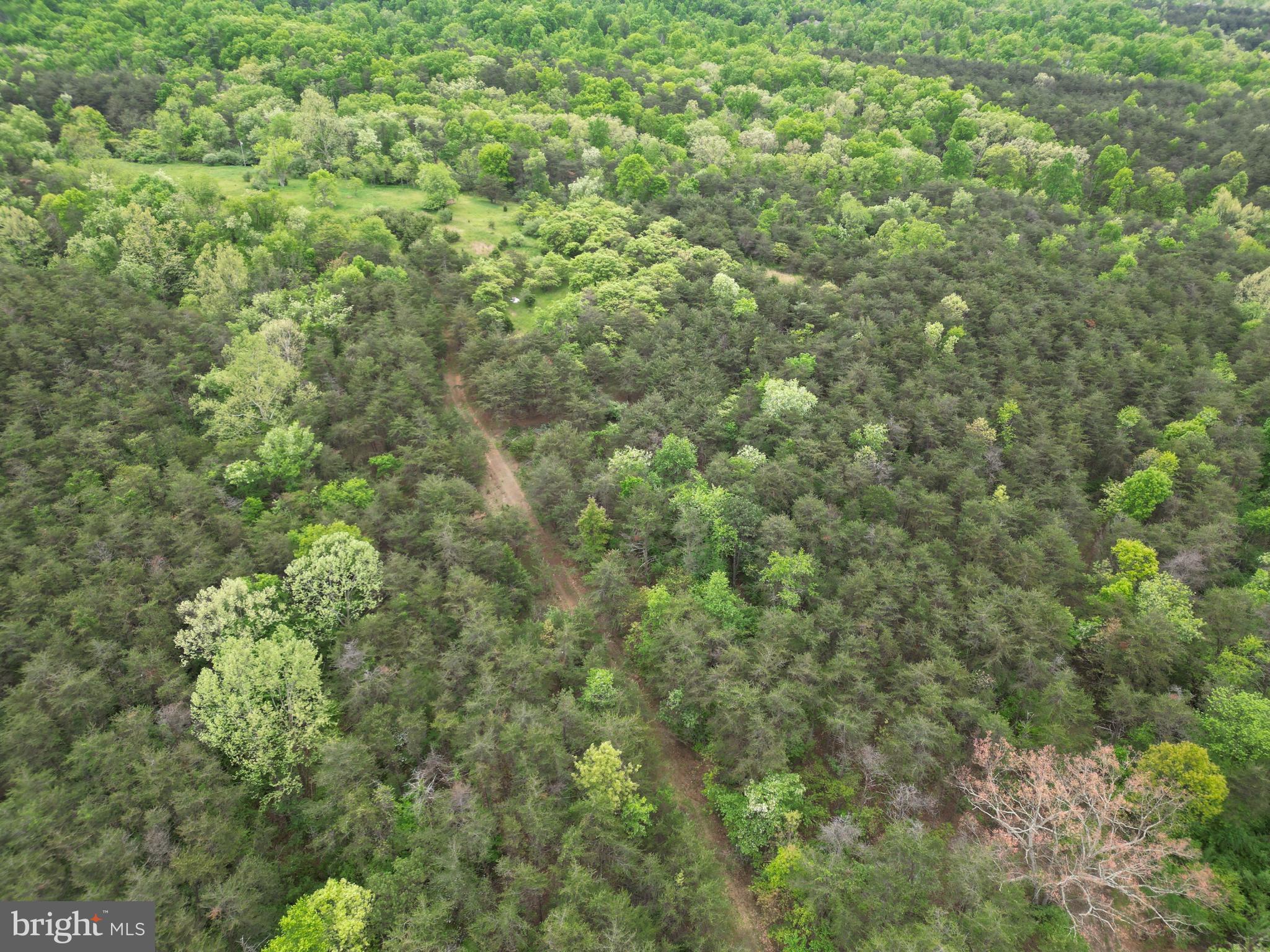 Lot 3 Jenkins Road Gerrardstown, WV 25420 - Photo 10 of 39 Gallery Image 10