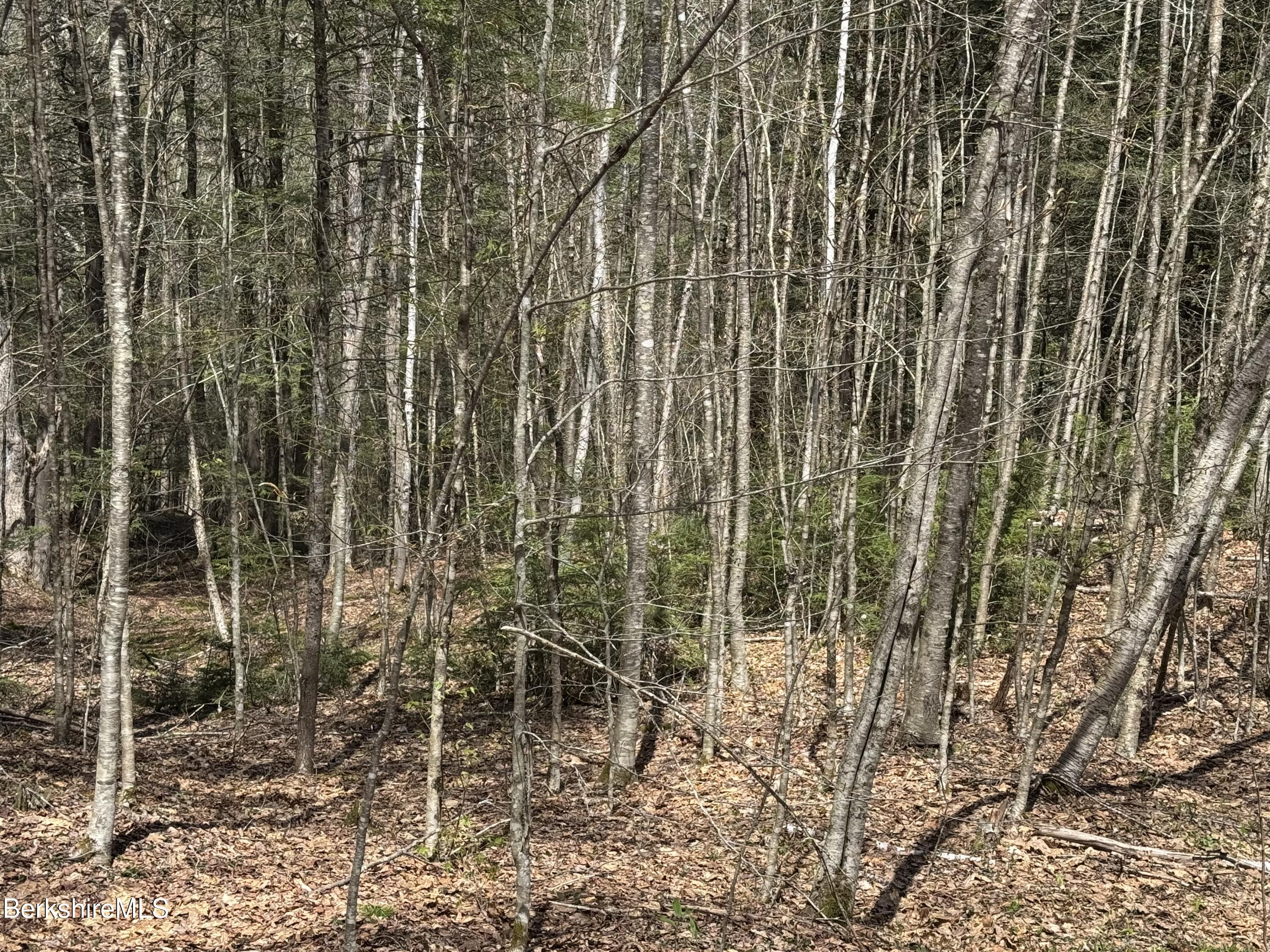 141 Stage Road Cummington, MA 01026 - Photo 21 of 23