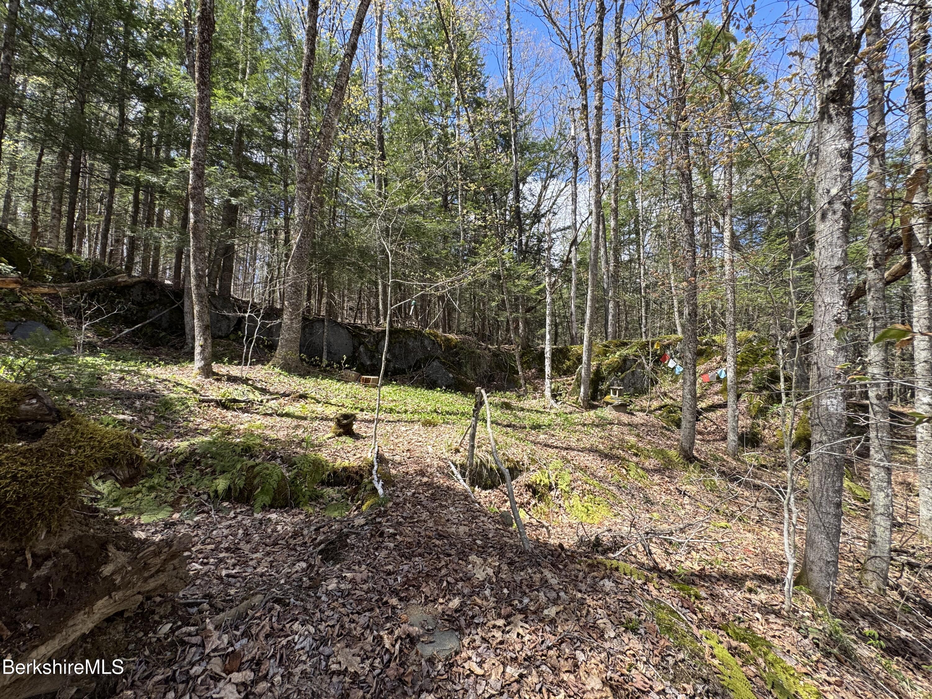 141 Stage Road Cummington, MA 01026 - Photo 23 of 23 a backyard of a house with lots of green space