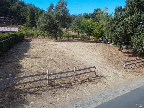 a view of a backyard with trees