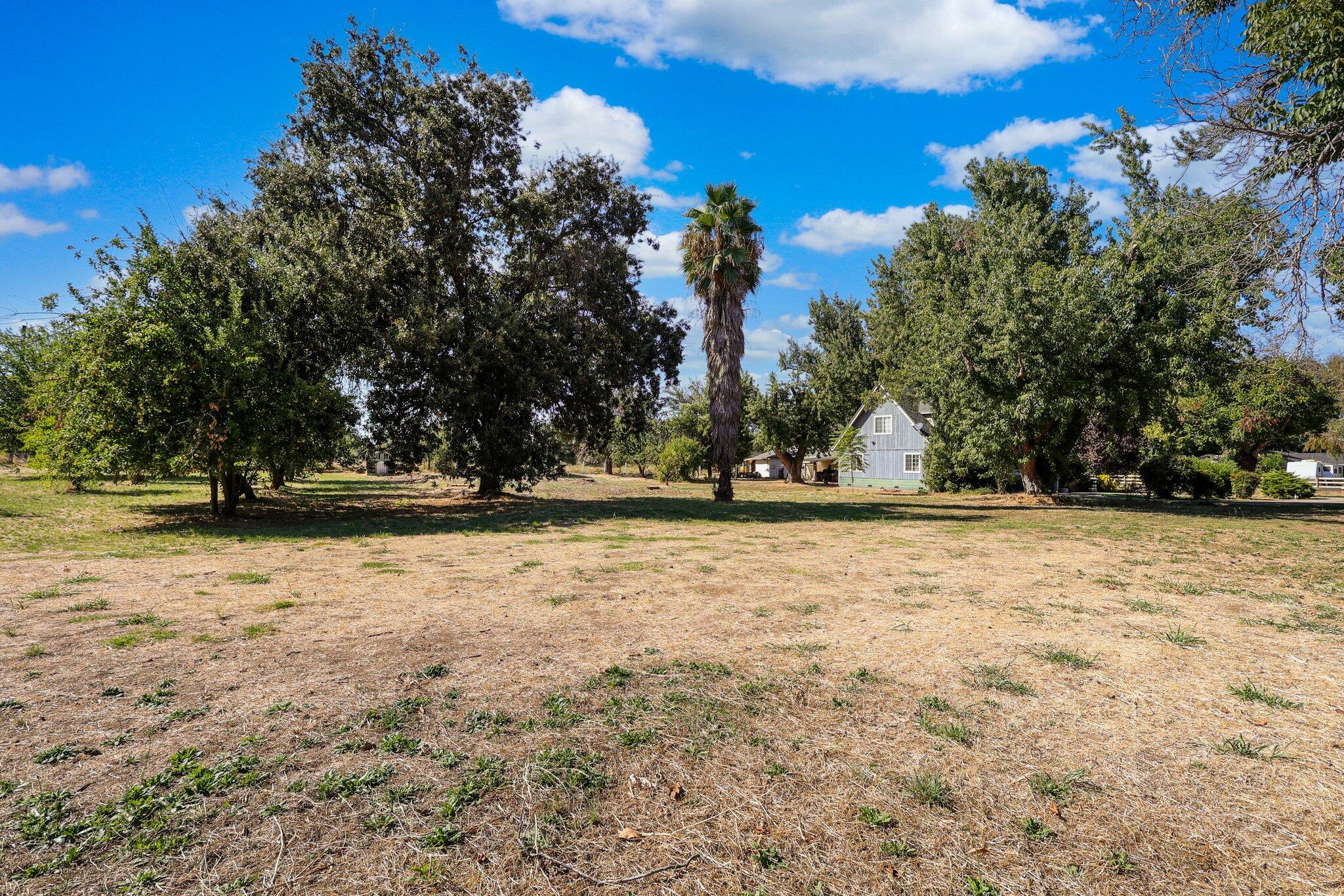 6740 Churn Crk Road Redding, CA 96002 - Photo 41 of 45 47-web-or-mls-LZ0A0319