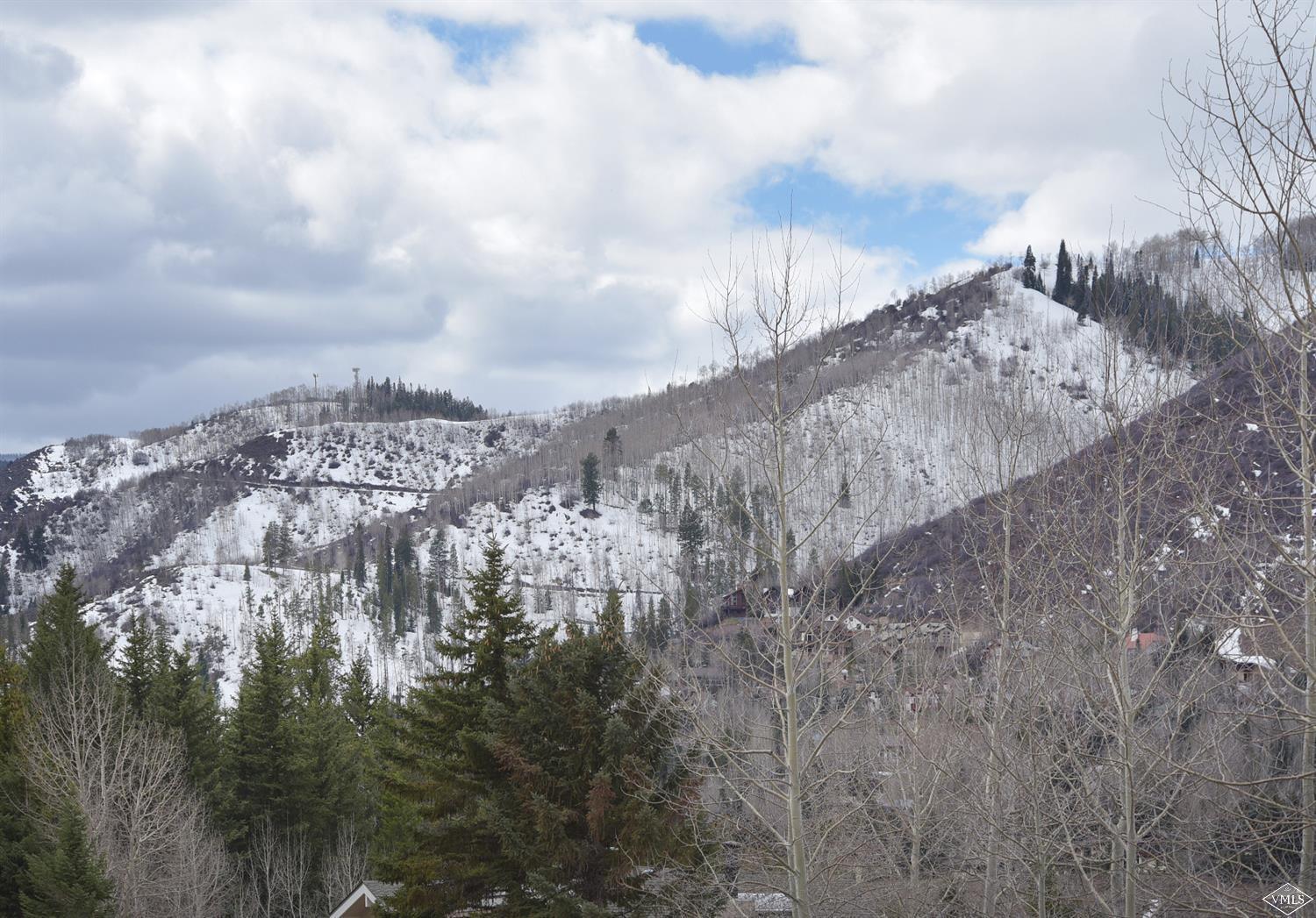 1955 Vermont Road Vail, CO 81657 - Photo 20 of 22 Additional Photo
