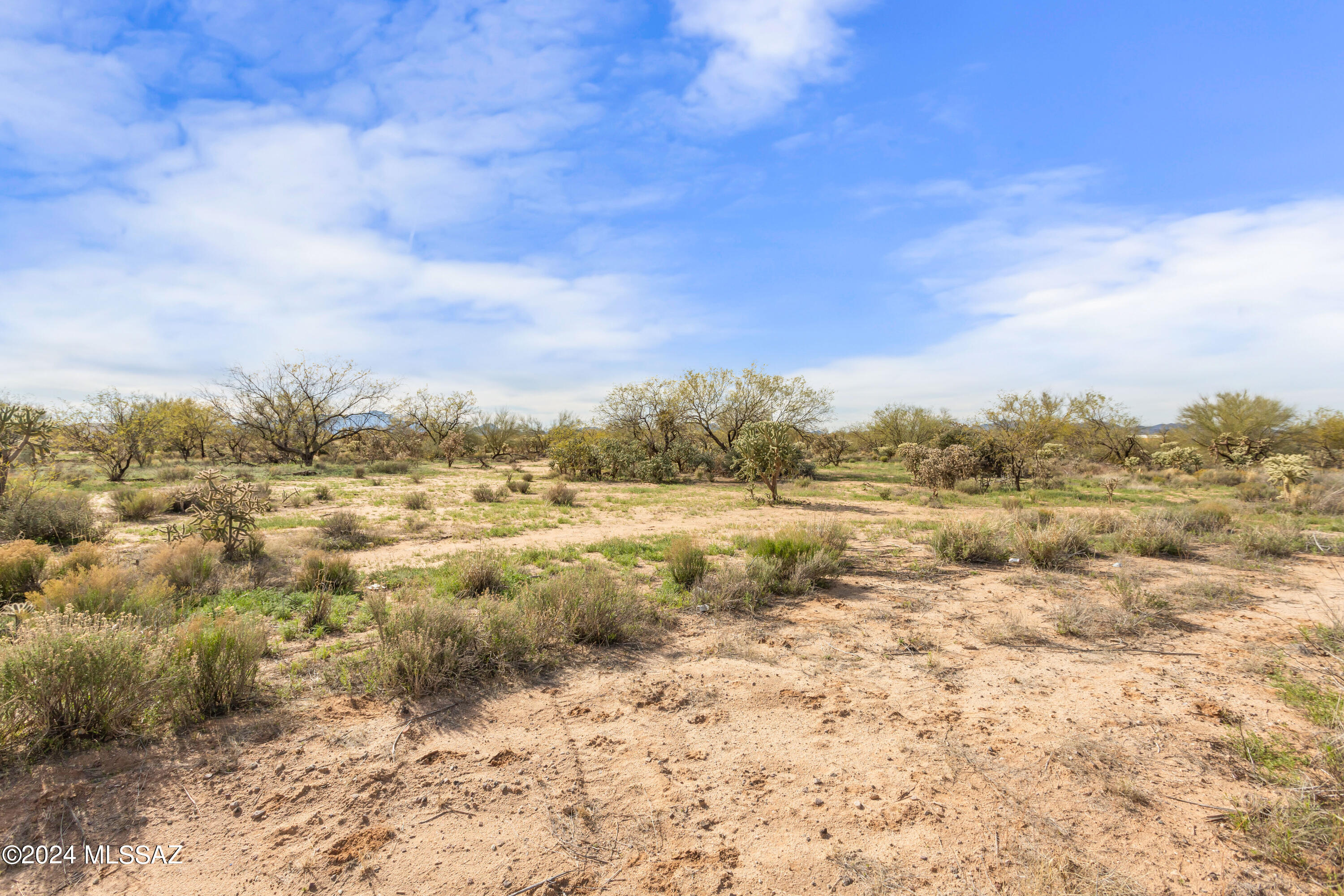 8884 South Marstellar Road Tucson, AZ 85736 - Photo 7 of 7 Gallery Image 7