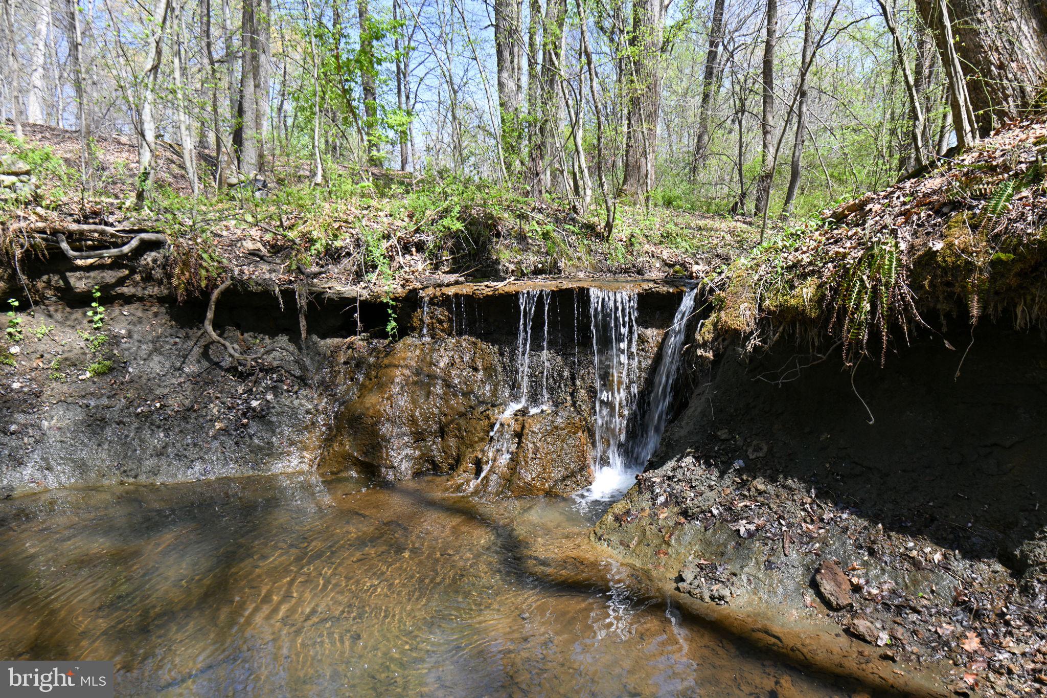 Patuxent River Road Davidsonville, MD 21035 - Photo 13 of 34
