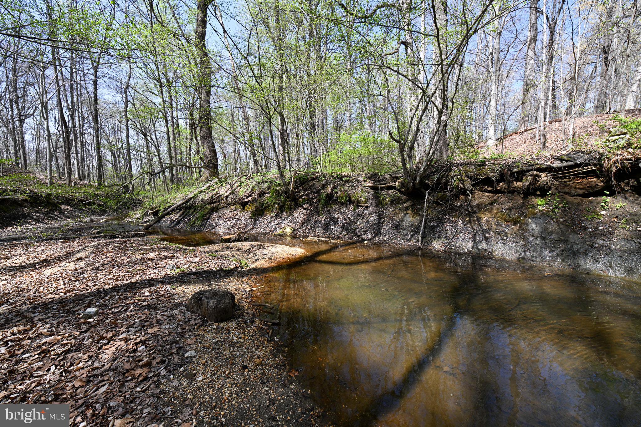 Patuxent River Road Davidsonville, MD 21035 - Photo 14 of 34