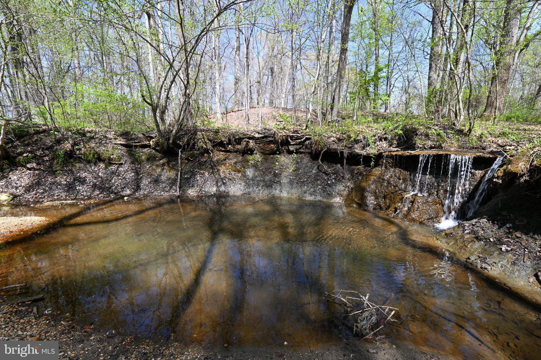 Patuxent River Road Davidsonville, MD 21035 - Photo 15 of 34