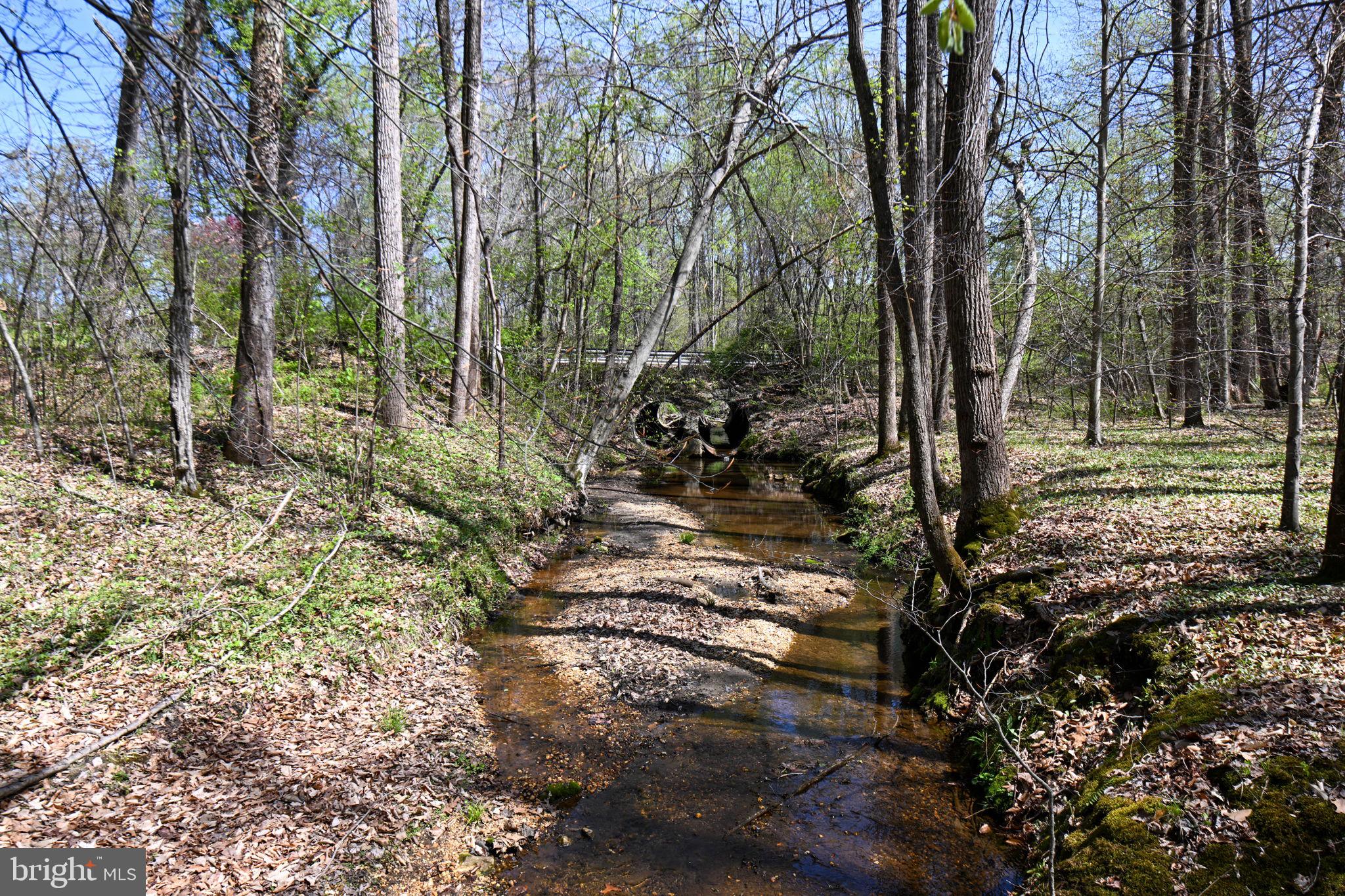 Patuxent River Road Davidsonville, MD 21035 - Photo 16 of 34