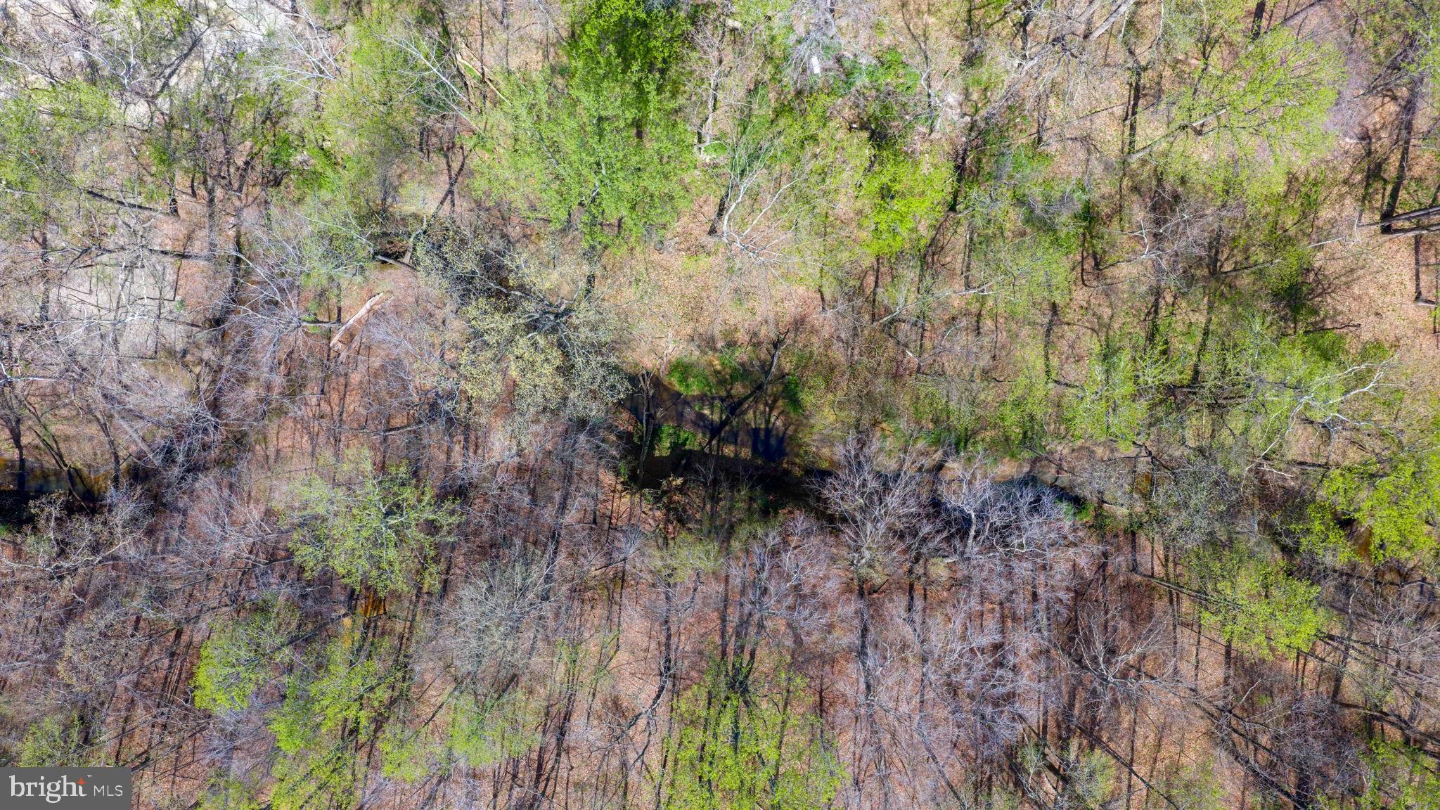 Patuxent River Road Davidsonville, MD 21035 - Photo 21 of 34