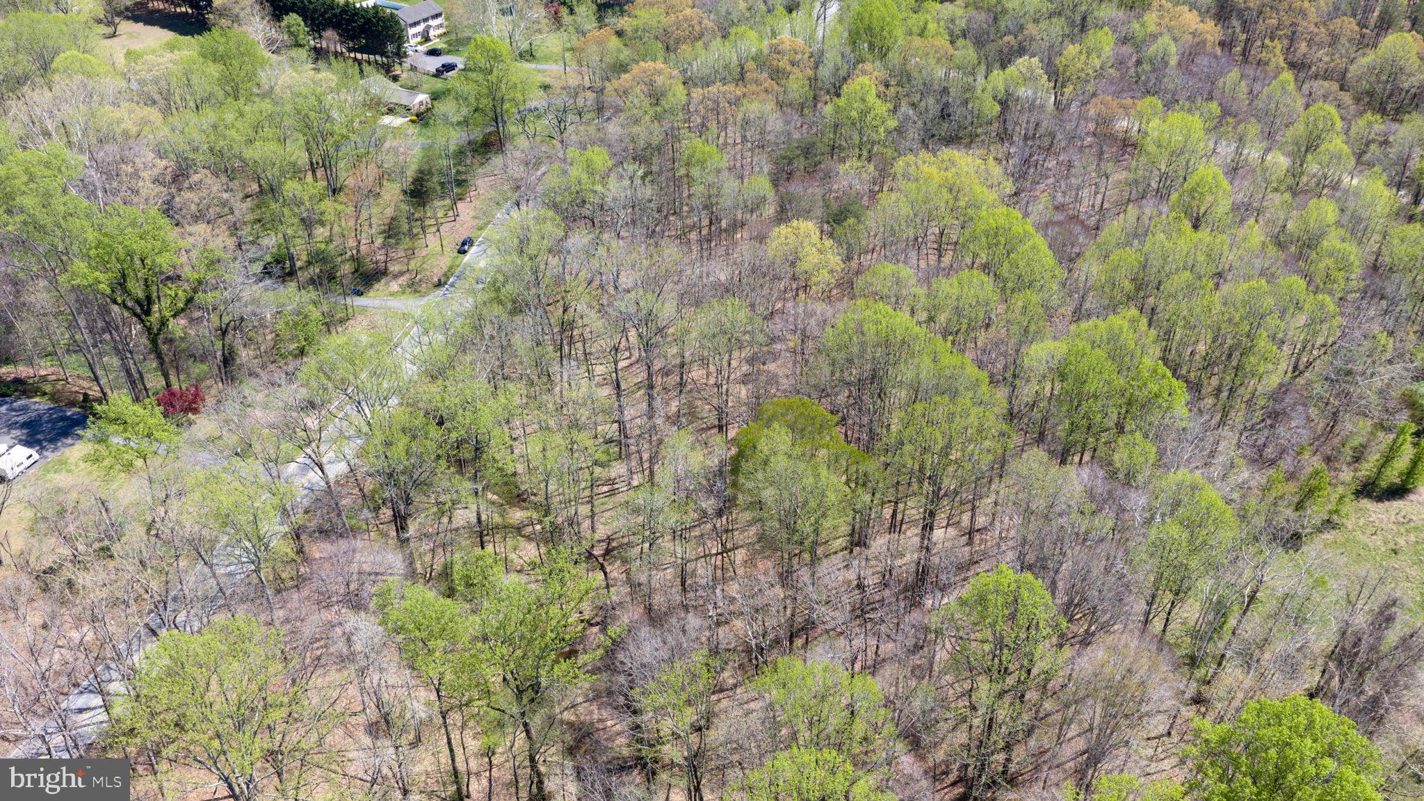 Patuxent River Road Davidsonville, MD 21035 - Photo 22 of 34