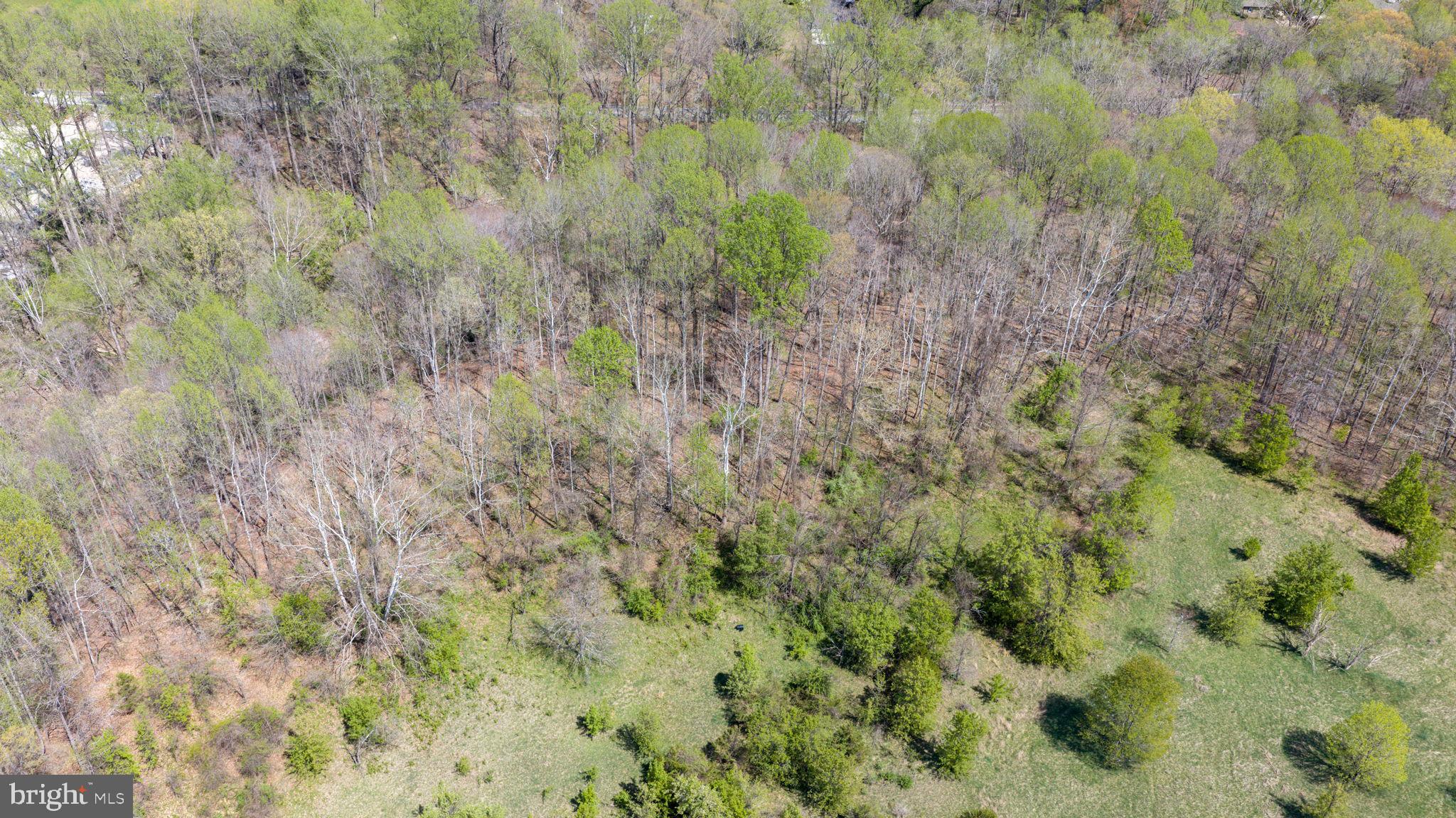 Patuxent River Road Davidsonville, MD 21035 - Photo 24 of 34