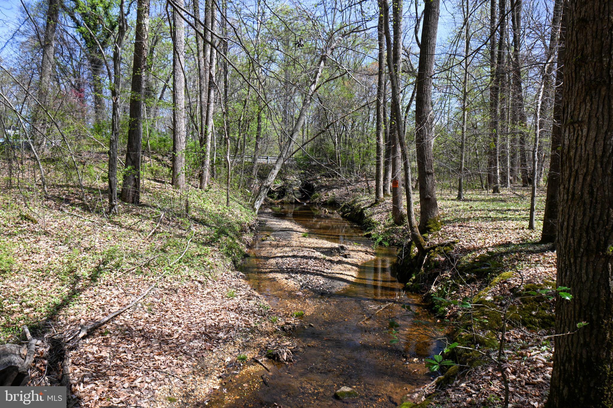 Patuxent River Road Davidsonville, MD 21035 - Photo 3 of 34